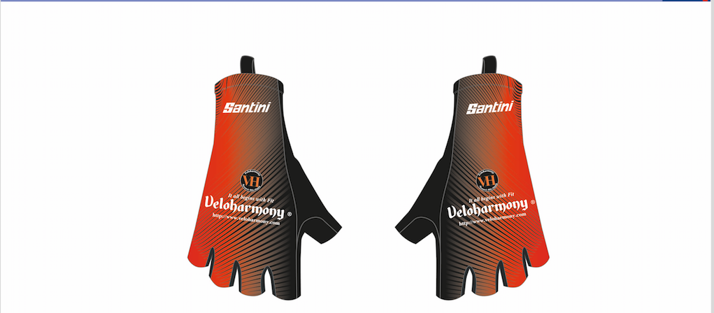 Santini vh classic long summer gloves